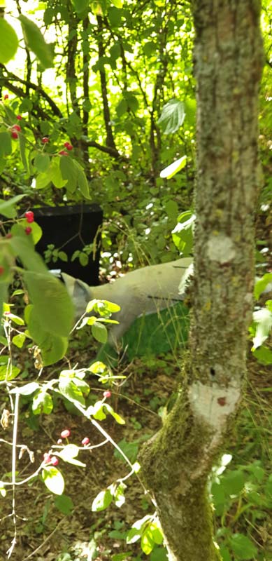 instarch 200727 1960 x 4032 24-bogenschiessen