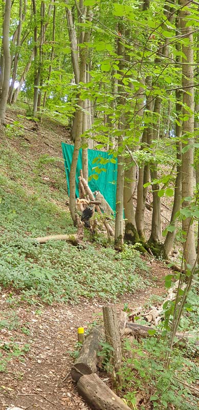 instarch 200727 1960 x 4032 6-bogenschiessen