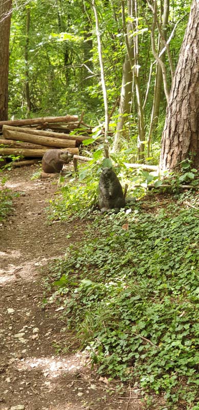 instarch 200727 1960 x 4032-bogenschiessen