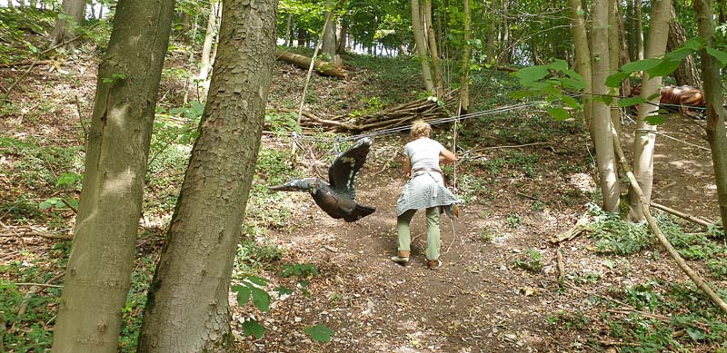 instarch 200727 4032 x 1960 11-bogenschiessen