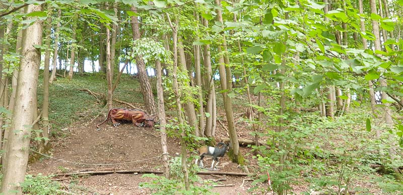 instarch 200727 4032 x 1960 12-bogenschiessen