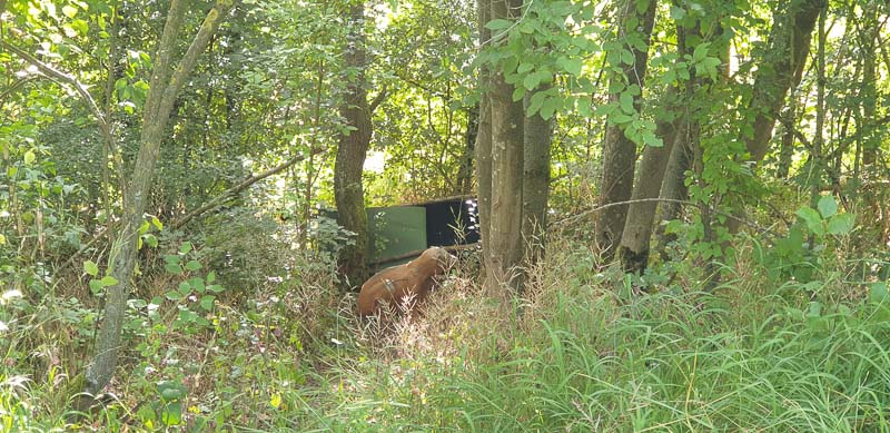 instarch 200727 4032 x 1960 21-bogenschiessen