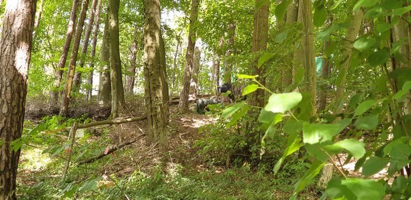 instarch 200727 4032 x 1960 6-bogenschiessen