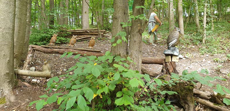 instarch 200727 4032 x 1960 9-bogenschiessen