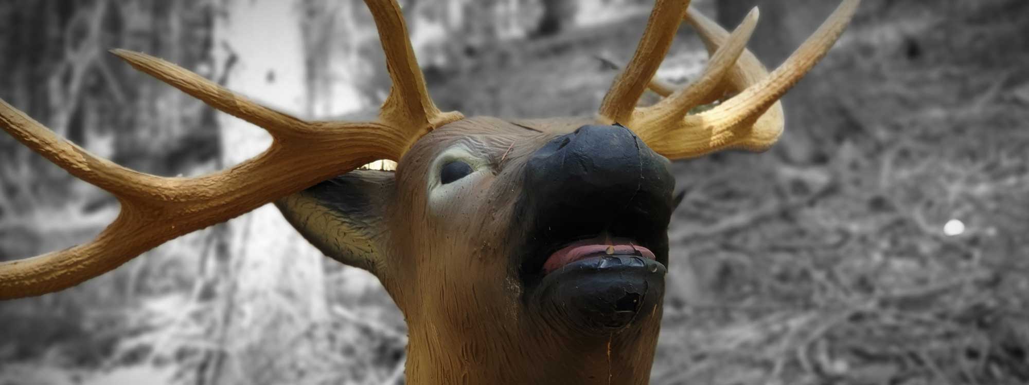 Bogenschießen Events