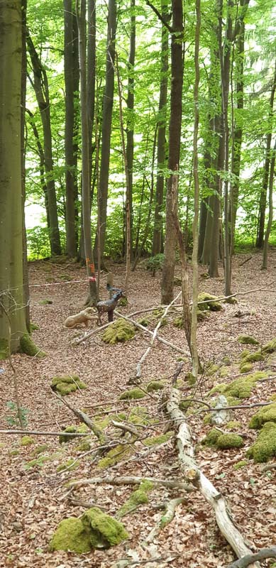 instarch 200525 1960 x 4032 30-bogenschiessen