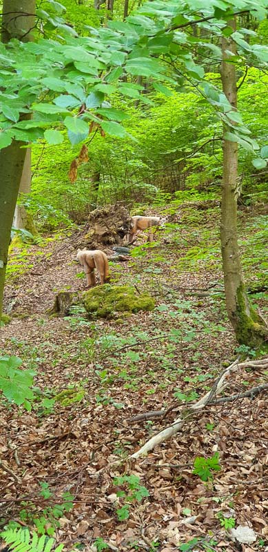 instarch 200525 1960 x 4032 42-bogenschiessen