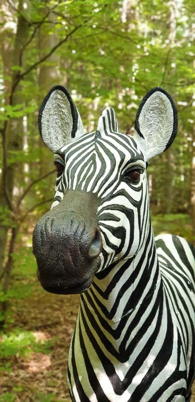 instarch 200525 1960 x 4032 52-bogenschiessen