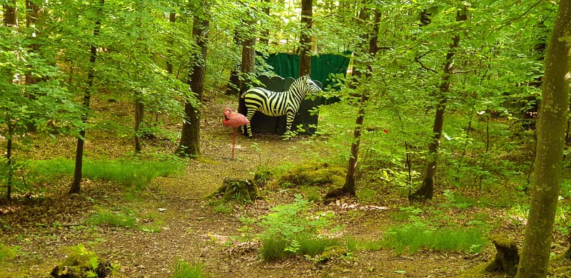 instarch 200525 4032 x 1960 19-bogenschiessen