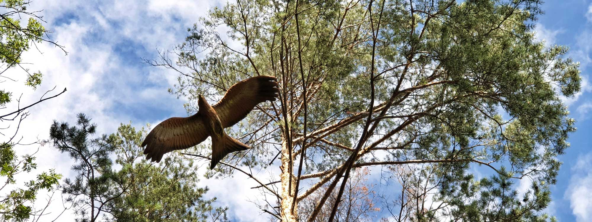 Therapeutisches Bogenschießen