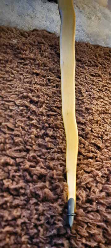 bogenschiessen 04Dez 0003-bogenschiessen