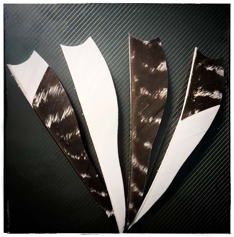 instarch 210121 2838 x 2870-bogenschiessen