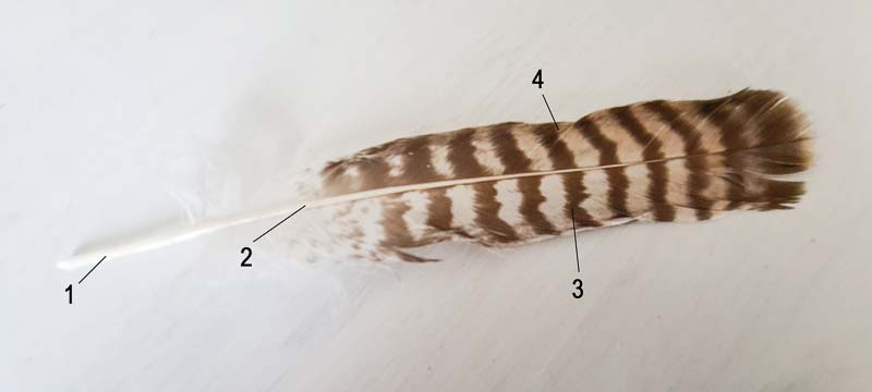 instarch 210205 2662 x 1198-bogenschiessen