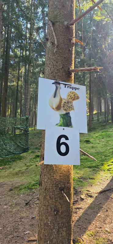 Guteneck 800er 022-bogenschiessen