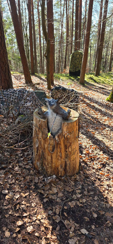 Guteneck 800er 049-bogenschiessen
