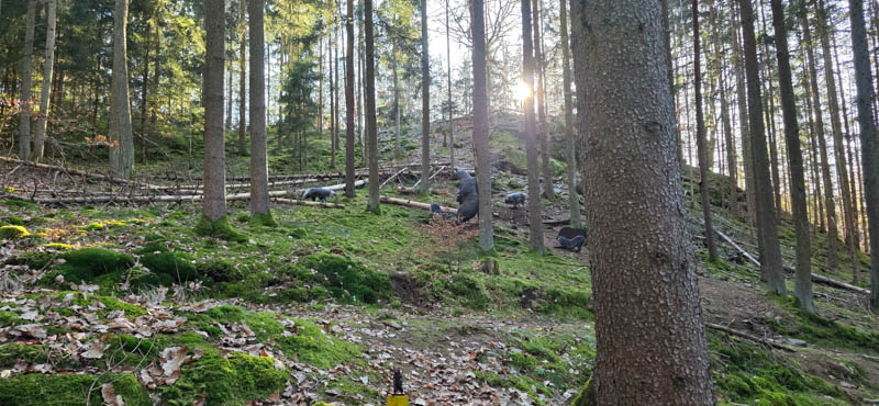 Guteneck 800er 061-bogenschiessen