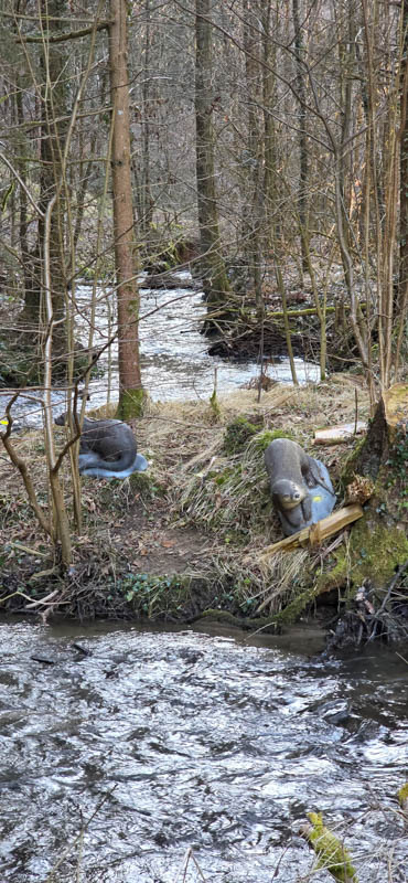 Guteneck 800er 068-bogenschiessen