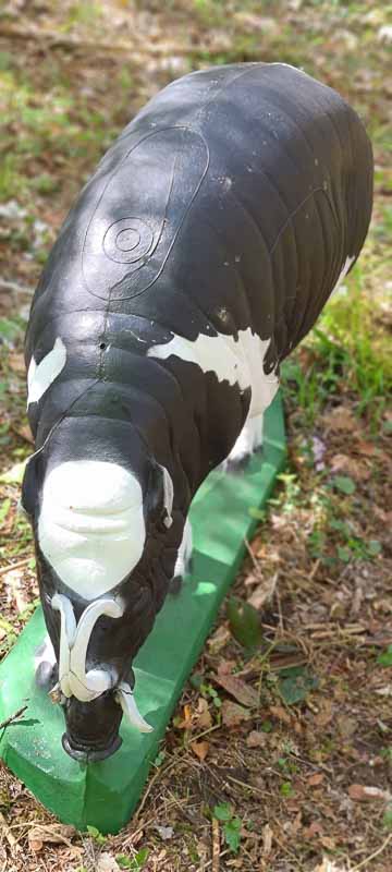 bogenschiessen 08Mai 0047-bogenschiessen