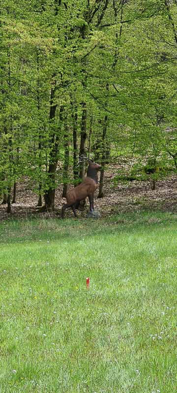 bogenschiessen 08Mai 0052-bogenschiessen