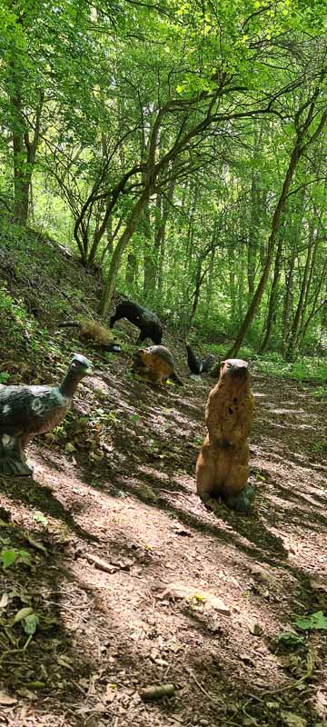 Streutal 3D Parcours in Mellrichstadt - Jagdbogen Freunde Rhön e.V. 5-bogenschiessen bogenschiessen 29Mai 0005-bogenschiessen