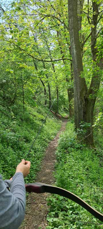 Streutal 3D Parcours in Mellrichstadt - Jagdbogen Freunde Rhön e.V. 17-bogenschiessen bogenschiessen 29Mai 0017-bogenschiessen