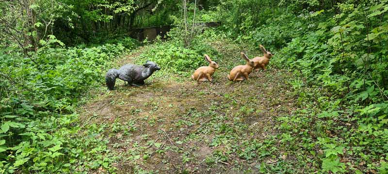 Streutal 3D Parcours in Mellrichstadt - Jagdbogen Freunde Rhön e.V. 21-bogenschiessen bogenschiessen 29Mai 0021-bogenschiessen