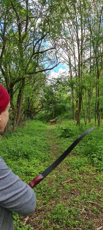 Streutal 3D Parcours in Mellrichstadt - Jagdbogen Freunde Rhön e.V. 22-bogenschiessen bogenschiessen 29Mai 0022-bogenschiessen