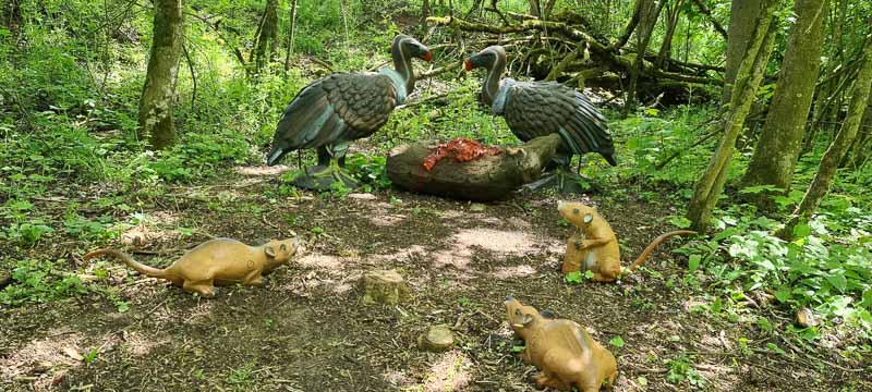 Streutal 3D Parcours in Mellrichstadt - Jagdbogen Freunde Rhön e.V. 28-bogenschiessen bogenschiessen 29Mai 0028-bogenschiessen