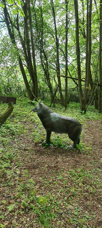 Streutal 3D Parcours in Mellrichstadt - Jagdbogen Freunde Rhön e.V. 40-bogenschiessen bogenschiessen 29Mai 0040-bogenschiessen