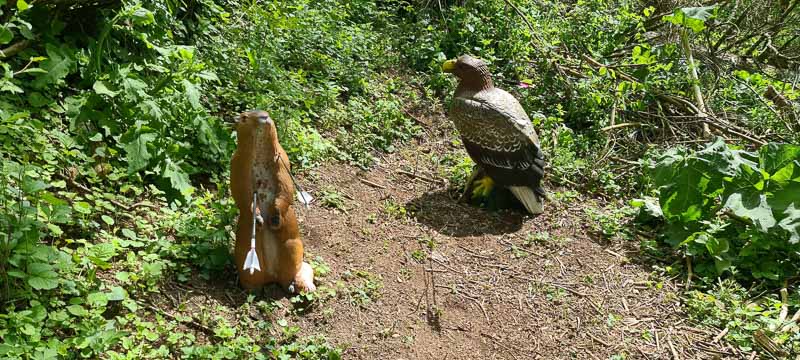 Streutal 3D Parcours in Mellrichstadt - Jagdbogen Freunde Rhön e.V. 45-bogenschiessen bogenschiessen 29Mai 0045-bogenschiessen