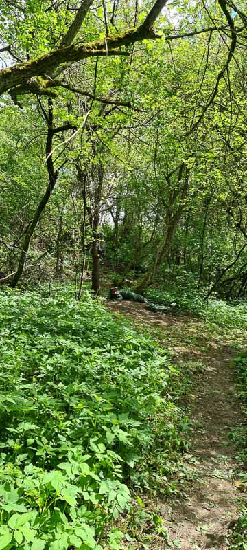 Streutal 3D Parcours in Mellrichstadt - Jagdbogen Freunde Rhön e.V. 48-bogenschiessen bogenschiessen 29Mai 0048-bogenschiessen