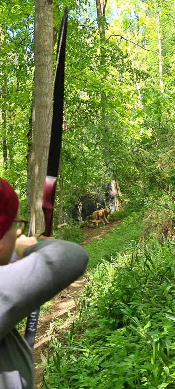Streutal 3D Parcours in Mellrichstadt - Jagdbogen Freunde Rhön e.V. 53-bogenschiessen bogenschiessen 29Mai 0053-bogenschiessen