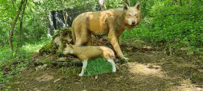 Streutal 3D Parcours in Mellrichstadt - Jagdbogen Freunde Rhön e.V. 54-bogenschiessen bogenschiessen 29Mai 0054-bogenschiessen