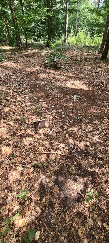 bogenschiessen 26Aug 0011-bogenschiessen