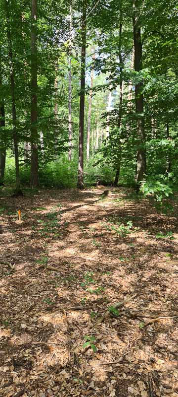 bogenschiessen 26Aug 0014-bogenschiessen