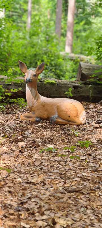 bogenschiessen 26Aug 0015-bogenschiessen