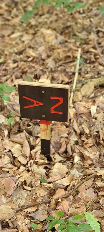 bogenschiessen 26Aug 0016-bogenschiessen