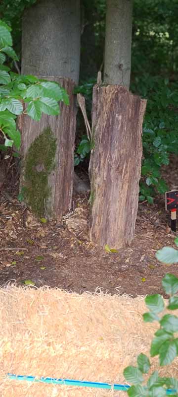 bogenschiessen 26Aug 0020-bogenschiessen
