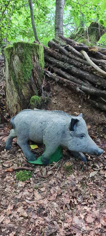 bogenschiessen 26Aug 0023-bogenschiessen