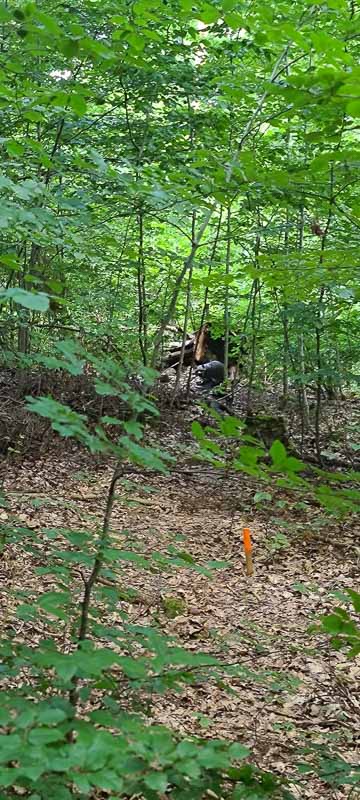 bogenschiessen 26Aug 0026-bogenschiessen