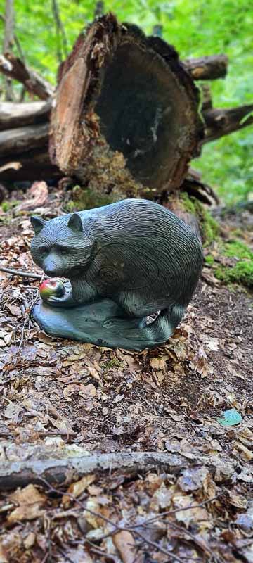 bogenschiessen 26Aug 0027-bogenschiessen