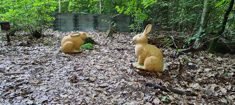 bogenschiessen 26Aug 0029-bogenschiessen