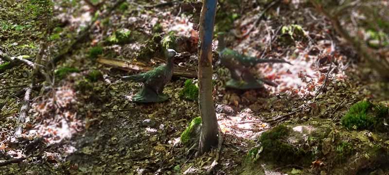 bogenschiessen 26Aug 0031-bogenschiessen