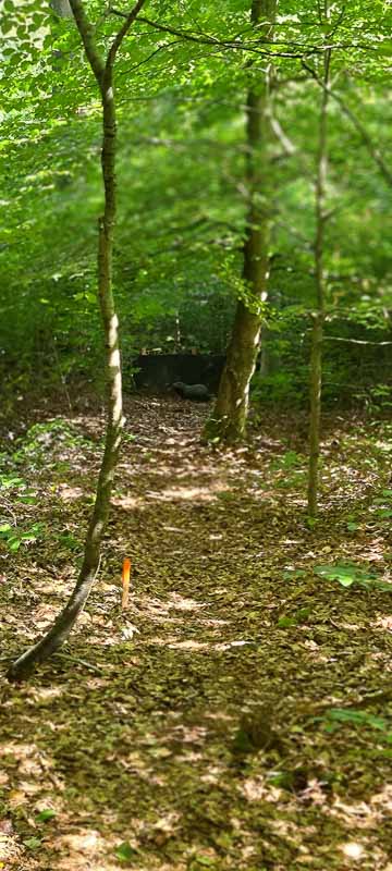 bogenschiessen 26Aug 0032-bogenschiessen