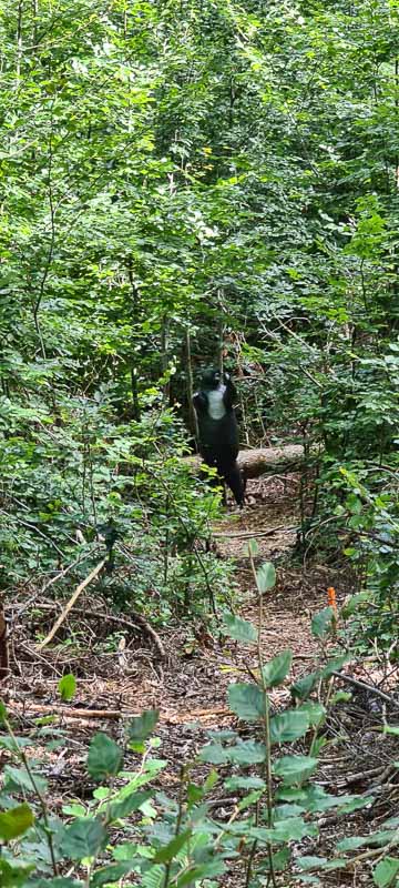 bogenschiessen 26Aug 0038-bogenschiessen