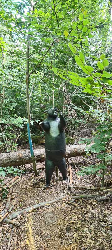 bogenschiessen 26Aug 0040-bogenschiessen