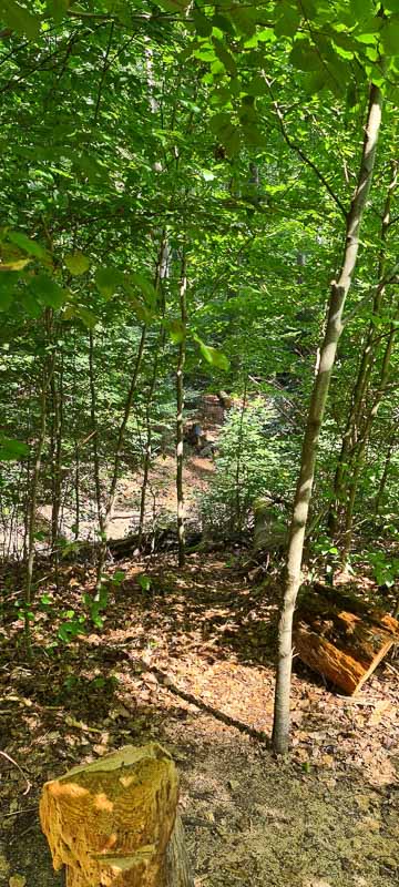 bogenschiessen 26Aug 0041-bogenschiessen