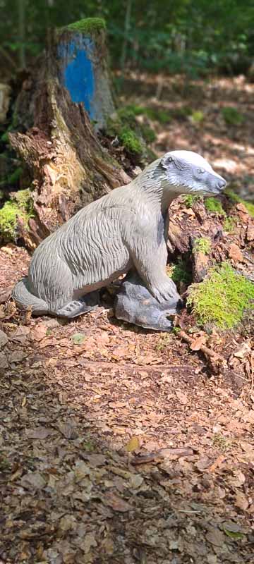 bogenschiessen 26Aug 0042-bogenschiessen
