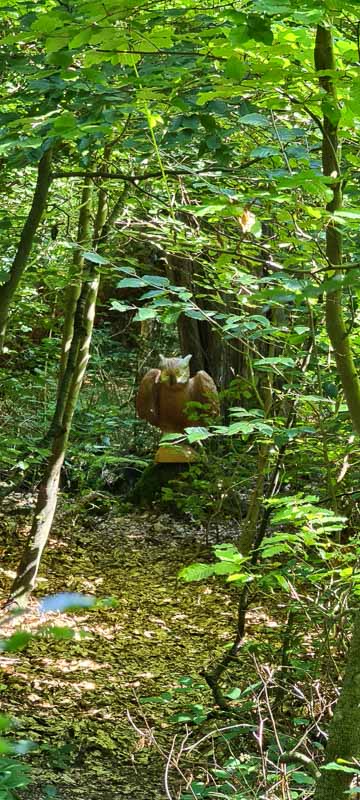 bogenschiessen 26Aug 0043-bogenschiessen