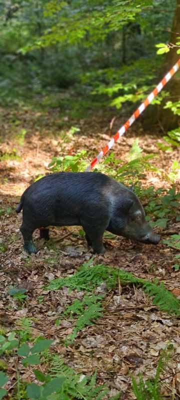 bogenschiessen 26Aug 0050-bogenschiessen